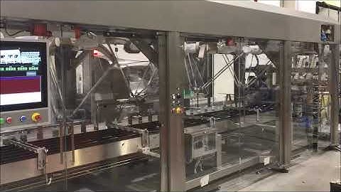Mespic Spider Case Packing Robot