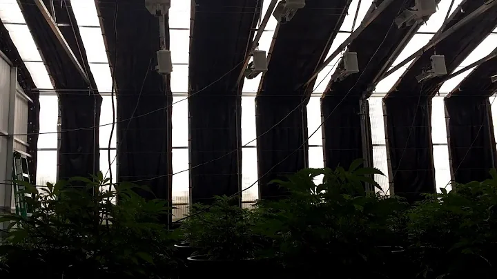 Ceres Commercial HighYield™ Kit greenhouse with Light Deprivation System