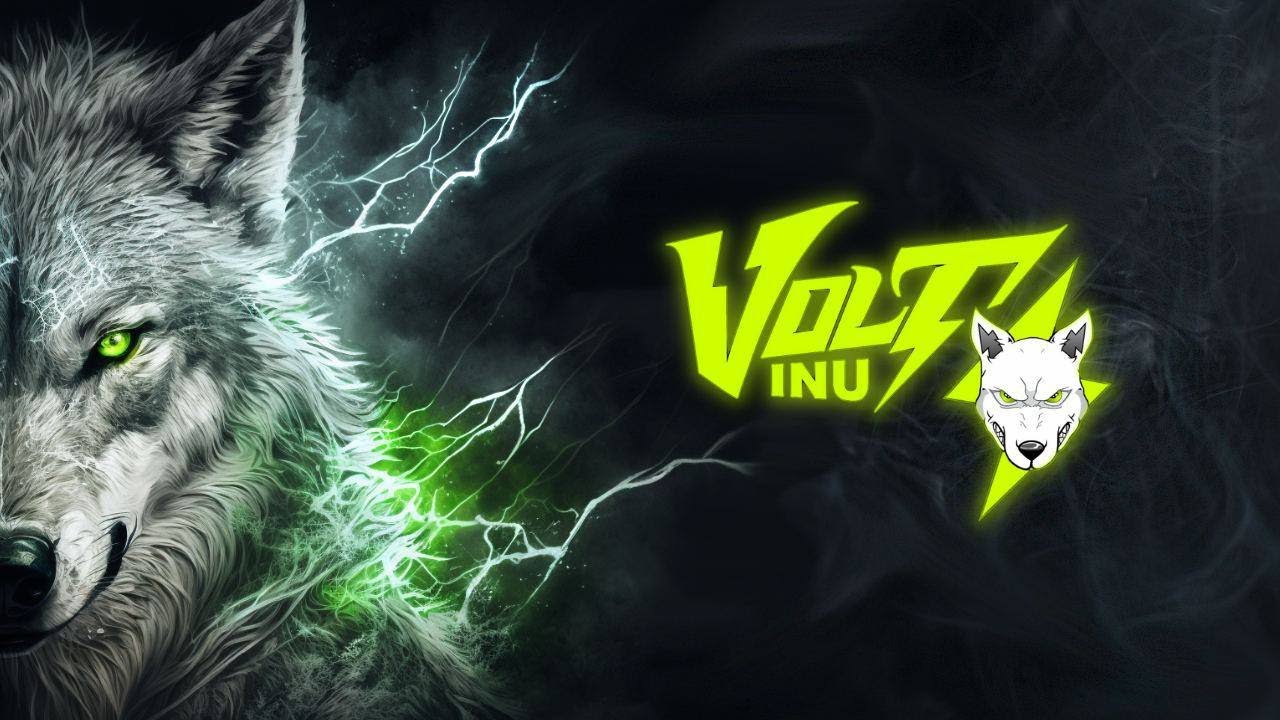 VOLT INU - VOLTICARD - DEFI PHYSICAL AND DIGITAL CARD - YouTube