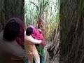 Village girlfriend fucked in sugarcane field