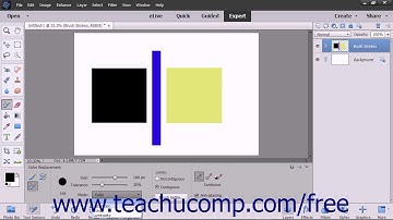 Photoshop Elements 2018 Tutorial The Color Replacement Tool Adobe Training