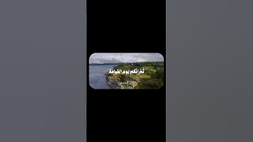 سورة الزمر❤️ اكتب شيء تؤجر عليه ❤️