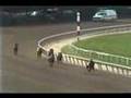 Risen star  1988 belmont stakes dave johnsons abctv call