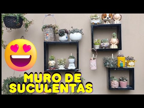 Vidéo: Titanopsis Concrete Leaf Plant Info – Cultiver des plantes succulentes à feuilles de béton