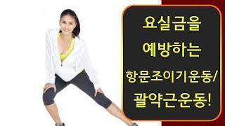 요실금을 예방하는 항문조이기운동 괄약근운동 요실금을 예방하는 항문조이기운동 괄약근운동