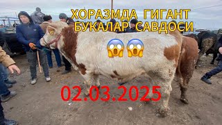 :      02.03.2025