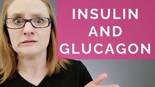 INSULIN AND GLUCAGON screenshot 5