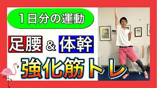 【シニア向けトレーニング】生涯転ばない為の足腰体幹筋力に焦点を当てたバランス強化トレーニング