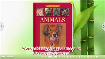 Where to select Background type for FlipBook with 3D PageFlip Standard