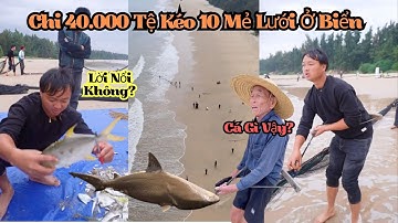 Chi 40.000 Tệ Thuê Ngư Dân Kéo 10 Mẻ Lưới – Được Nhiều Cá Lạ, Liệu Có Lời Không? #liuteman