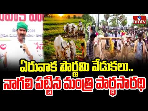ఏరువాక పౌర్ణమి వేడుకలు..నాగలి పట్టిన మంత్రి పార్థసారథి | Minister Kolusu Partha Sarathy | hmtv - HMTVNEWS