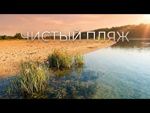 ЧИСТЫЙ ПЛЯЖ И ЭКО-ПИКНИК