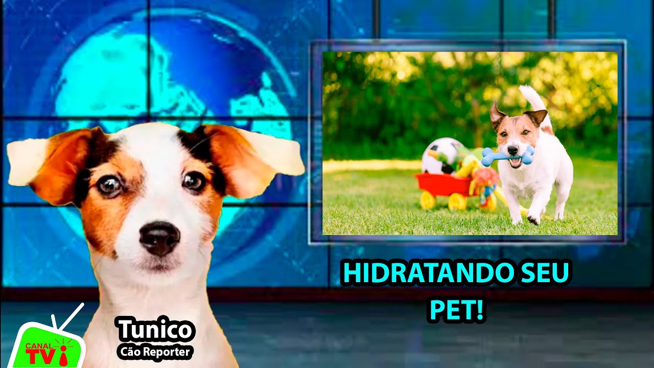 CANAL TVi Animal - Tunico ‐ hidratando seu PET