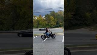 Livewire S2 Del Mar Get On This Brawler