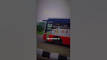 Race with Msrtc mg bus on nagar-solapur highway #bus_shorts #msrtcbus #lalpari #status #2023 #Shorts