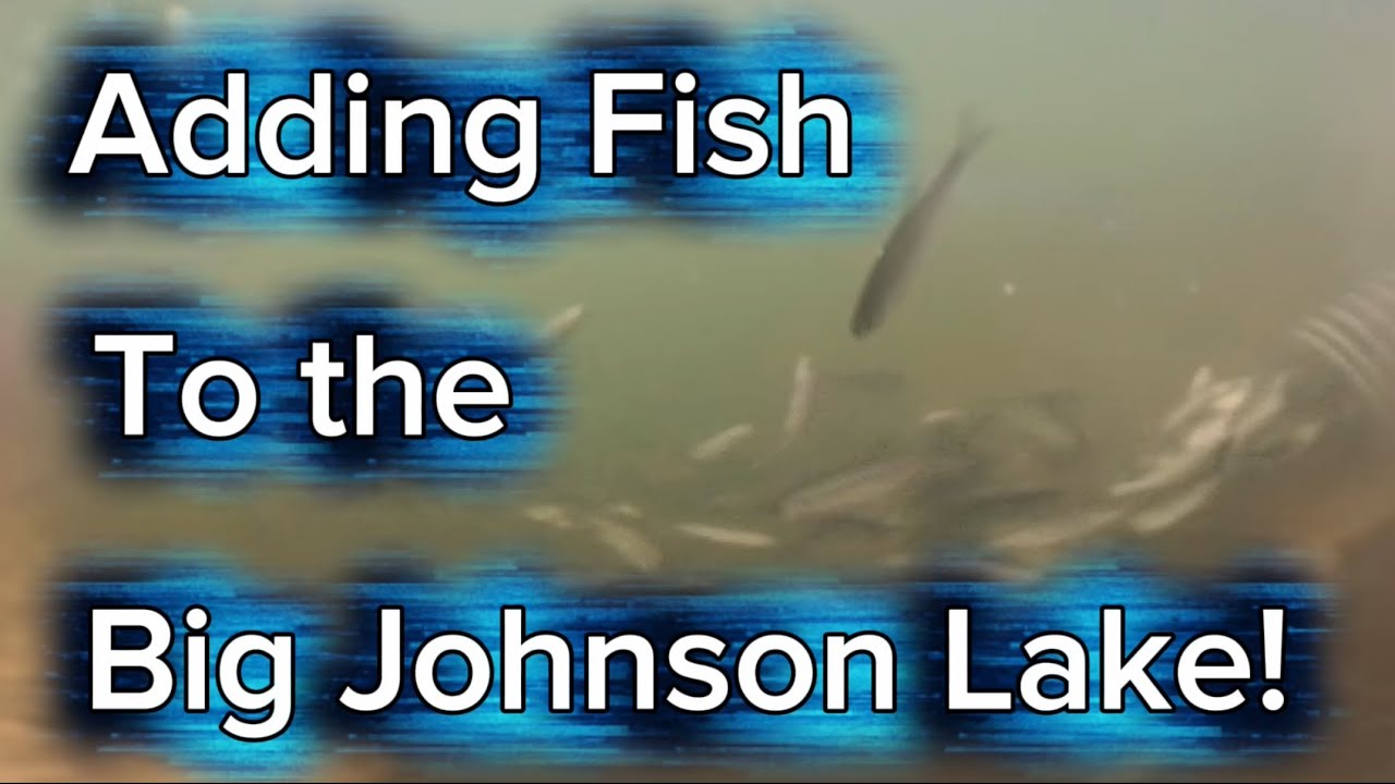 Adding Fish to the Big Johnson Lake!!!