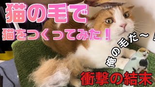 I Made a Cat Out of Cat Hair! [Burimaru Diary With t] - YouTube