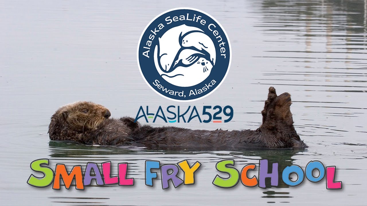 Virtual Small-Fry School: Sea Otters