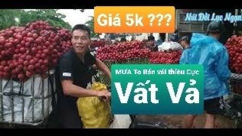 Trời Mưa Vải Thiều Lục Ngạn Giá 5K ? l Vải Thiều Lục Ngạn l Núi Đồi Lục Ngạn