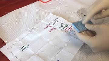 Staining Phage Samples for TEM