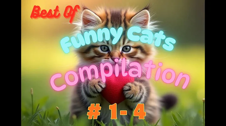 Watch the video about Best Of Funny Cats Compilation 1-4 / Cute And Funny Cat Videos