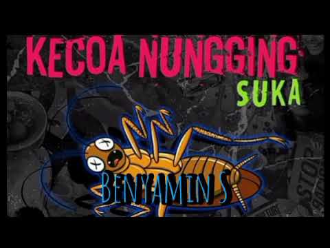 Benyamin S - Kecoa Nungging Lyrics