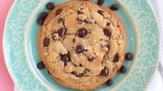 XL HUGE Chocolate Chip Cookie