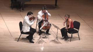 Beethoven String Trio in C minor - 1st mvt. | G. Schmidt, L. Francis, E. Kim