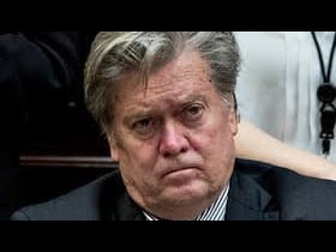 Steve Bannon Fired By Donald Trump