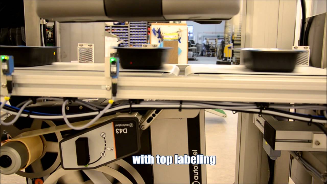 Combi Trieuse pondérale Détecteur de métal