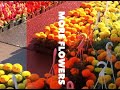 Flower Day Eastern Market - Are You Ready! | Gardening Awareness