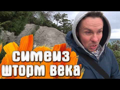 Видео: ШТОРМ Крым СИМЕИЗ 26 Ноября 2023 ЖЕСТЬ я такого раньше не видел
