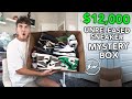 Unboxing A $12,000 Unreleased Sneaker Mystery Box... (INSANE)