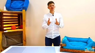Лежанка для собак / Первый опыт в рекламных роликах Лежанка для собак / Первый опыт в рекламных роликах