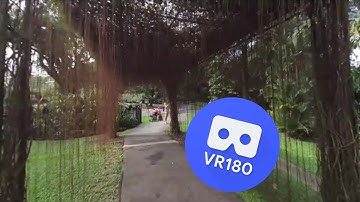 [VR180 5.7k] Vuze XR & Studio 3.1.5909 Stabilization Test by walking in 180° 3D mode
