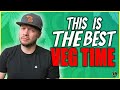 How long to veg plants for a huge harvest