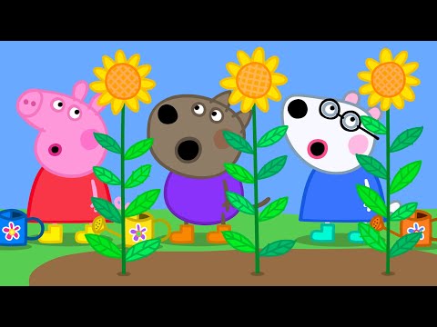 Peppa Pig - Official Channel 