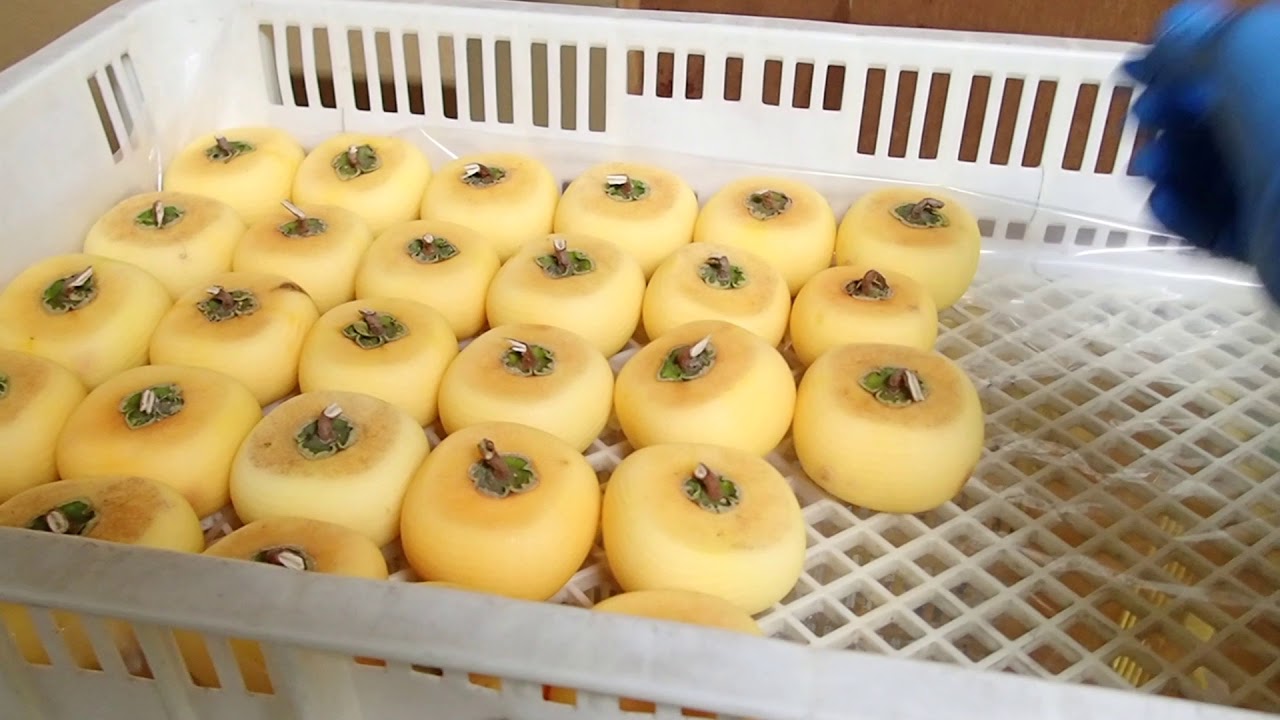 あん ぽ 柿 の 作り方