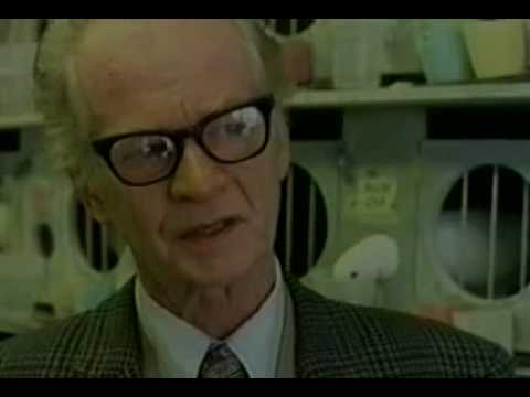 ვიდეო: რა გამოიგონა BF Skinner?