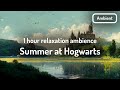 Harry potter  summer at hogwarts   ambience