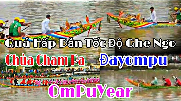 Tốc Độ Khá Nhanh Của Các Ghe Ngo Chùa Cham Pa Chùa OmPuYear Chùa Đayompu Trên Sông Maspero