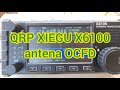 QRP XIEGU X6100 antena OCFD