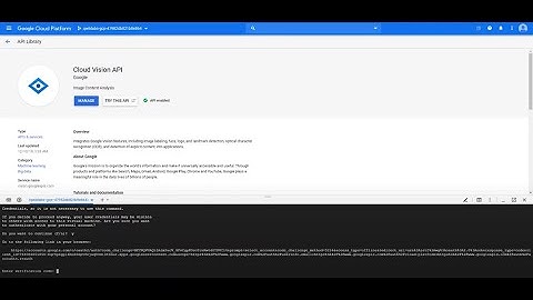 Google Cloud Platform: Cloud Vision API