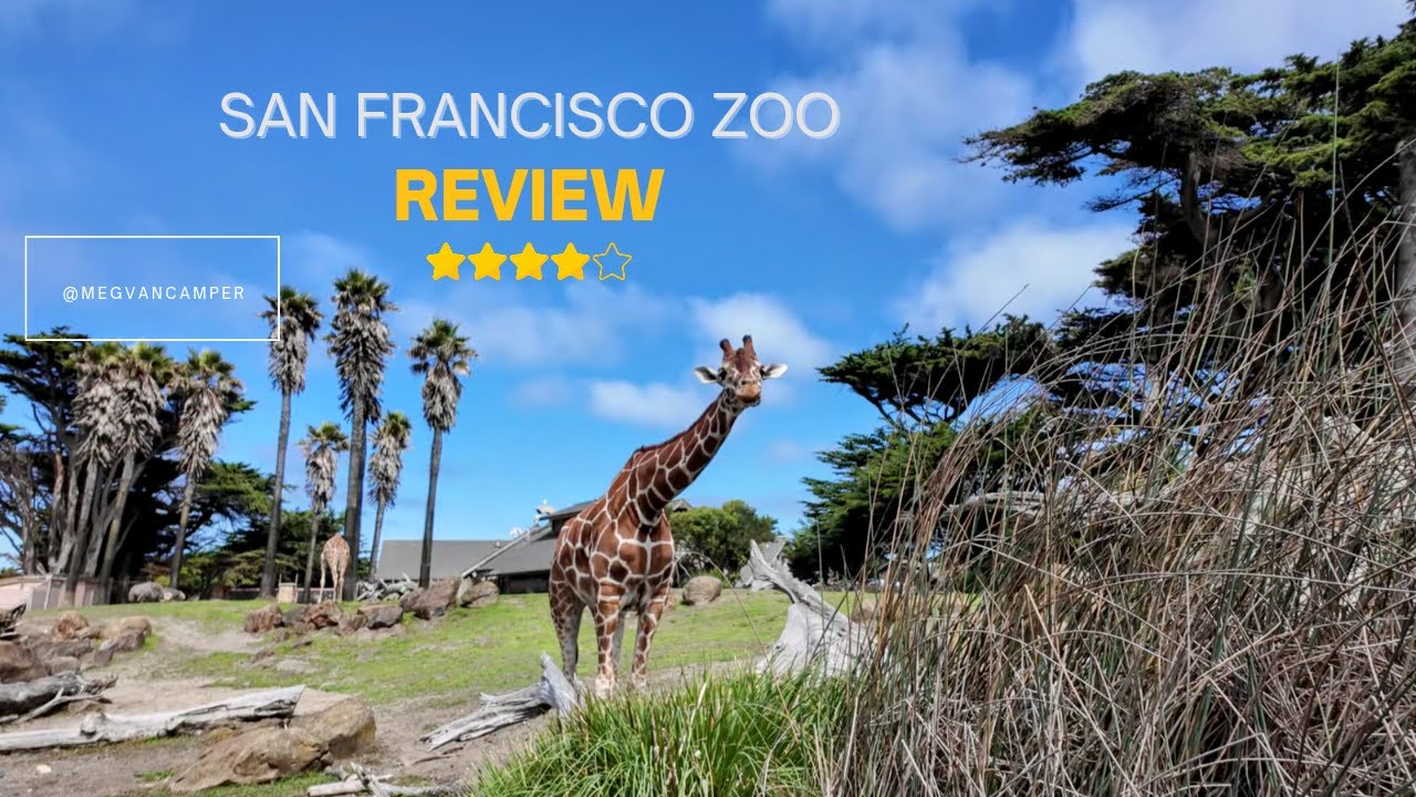 San Francisco Zoo Review