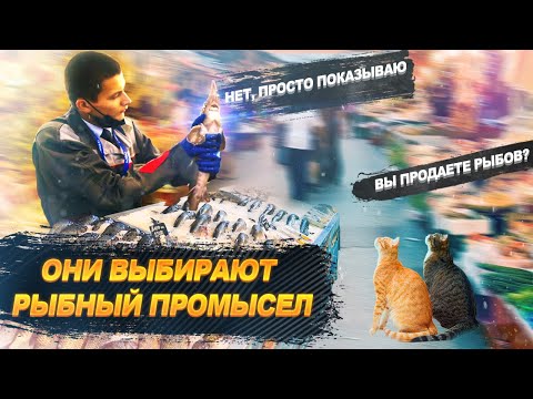 Видео: ВЕЦ на Русия и техния потенциал