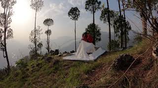 A Alone Camping Night In Jungle