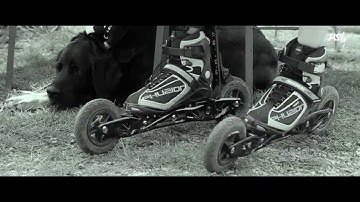 POWERSLIDE Nordic XC Trainer 2011 skates