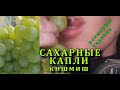 Виноград САХАРНЫЕ КАПЛИ кишмиш , РАТАТУЙ , Sugar drops grapes