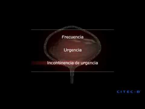 Vídeo: Médicos De Vejiga Hiperactiva (VH)