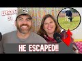 Our Pet Steer, Moody, GOT OUT!! Podcast Ep. 91